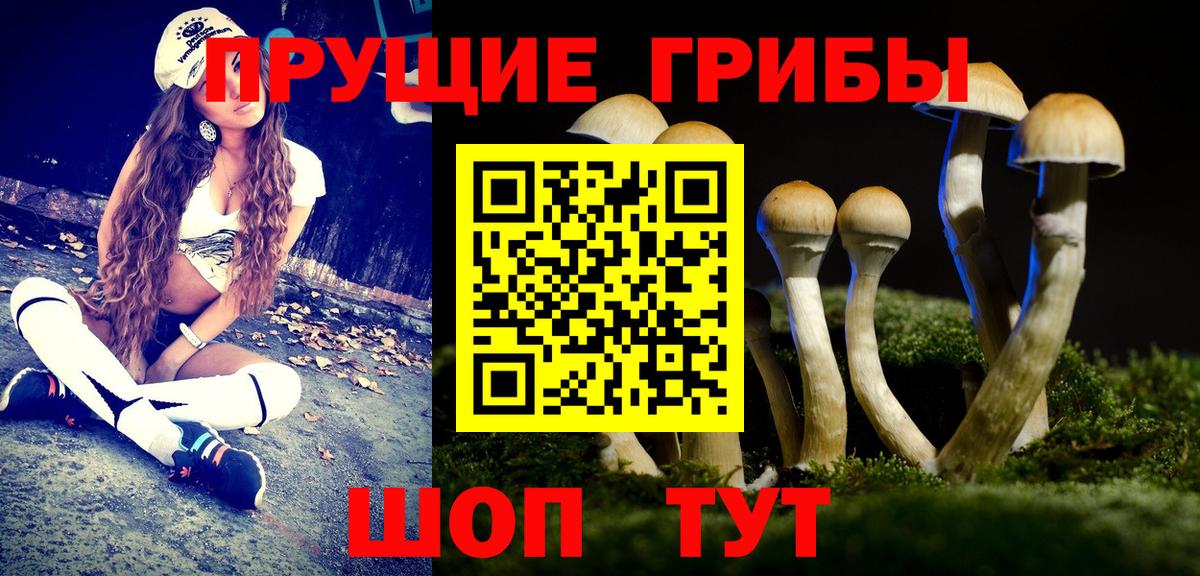 Карпинск  Псилоцибиновые грибы мицелий  Вход с VPN 