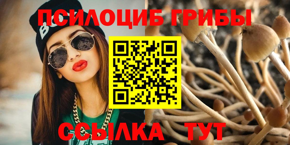 Галлюциногенные грибы Psilocybe Карпинск